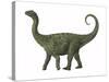 A Juvenile Saltasaurus Sauropod Dinosaur of the Cretaceous Period-null-Stretched Canvas