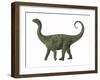 A Juvenile Saltasaurus Sauropod Dinosaur of the Cretaceous Period-null-Framed Art Print