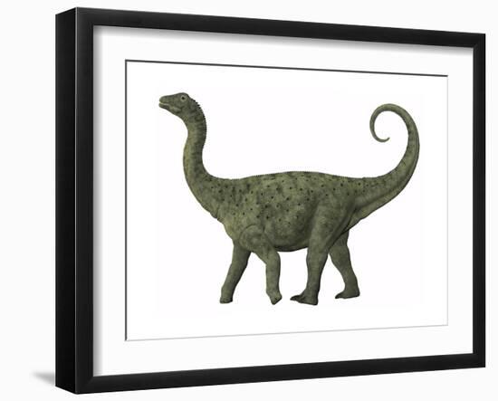 A Juvenile Saltasaurus Sauropod Dinosaur of the Cretaceous Period-null-Framed Art Print