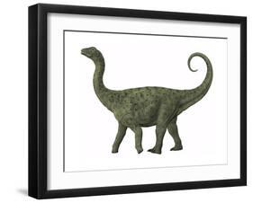 A Juvenile Saltasaurus Sauropod Dinosaur of the Cretaceous Period-null-Framed Art Print