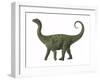 A Juvenile Saltasaurus Sauropod Dinosaur of the Cretaceous Period-null-Framed Art Print