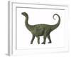 A Juvenile Saltasaurus Sauropod Dinosaur of the Cretaceous Period-null-Framed Art Print