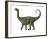 A Juvenile Saltasaurus Sauropod Dinosaur of the Cretaceous Period-null-Framed Art Print