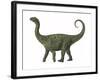 A Juvenile Saltasaurus Sauropod Dinosaur of the Cretaceous Period-null-Framed Art Print