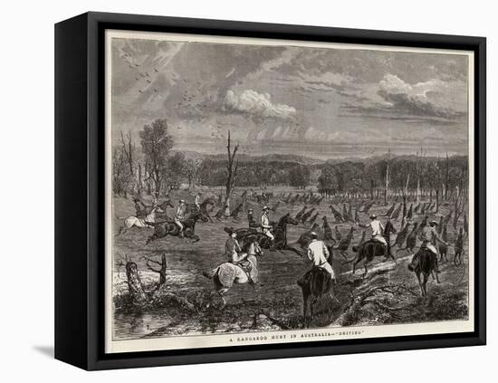 A Kangaroo Hunt in Australia, Driving-null-Framed Stretched Canvas