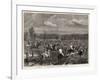 A Kangaroo Hunt in Australia, Driving-null-Framed Giclee Print