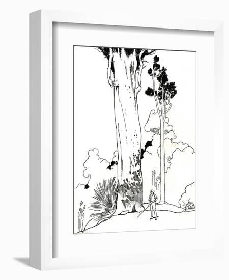 'A Kauri Tree', 1912-Charles Robinson-Framed Giclee Print