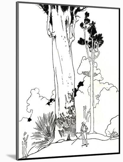 'A Kauri Tree', 1912-Charles Robinson-Mounted Giclee Print