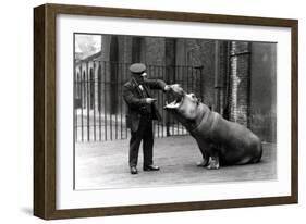 A Keeper, Ernie Bowman, and Bobbie the Hippopotamus at London Zoo, 1923-Frederick William Bond-Framed Photographic Print