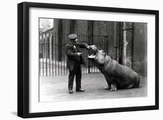 A Keeper, Ernie Bowman, and Bobbie the Hippopotamus at London Zoo, 1923-Frederick William Bond-Framed Photographic Print