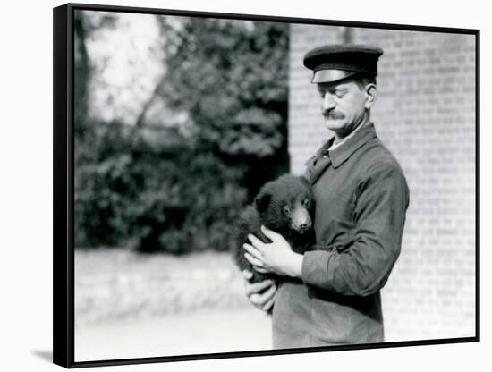 A Keeper Holds a Sloth Bear Cub at London Zoo, August 1921-Frederick William Bond-Framed Stretched Canvas