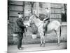 A Keeper Leads an Ass, Which Is Being Ridden by a Boy, London Zoo, June 1913-Frederick William Bond-Mounted Photographic Print