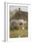 A Kentish Cottage-Helen Allingham-Framed Giclee Print