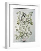 a Kindly-Looking Old Woman, illustration to 'Elder Tree Mother' from 'Fairy Tales'-Arthur Rackham-Framed Giclee Print