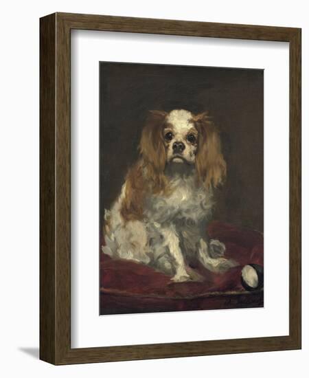 A King Charles Spaniel, 1866-Edouard Manet-Framed Art Print