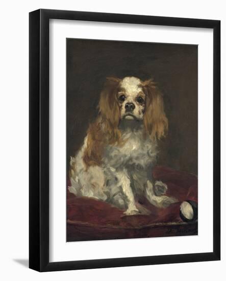 A King Charles Spaniel, 1866-Edouard Manet-Framed Art Print