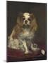 A King Charles Spaniel, 1866-Edouard Manet-Mounted Art Print