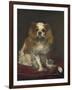 A King Charles Spaniel, 1866-Edouard Manet-Framed Art Print