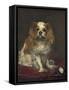 A King Charles Spaniel, 1866-Edouard Manet-Framed Stretched Canvas