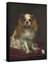 A King Charles Spaniel, 1866-Edouard Manet-Framed Stretched Canvas