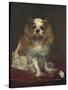 A King Charles Spaniel, 1866-Edouard Manet-Stretched Canvas