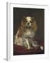 A King Charles Spaniel, 1866-Edouard Manet-Framed Art Print