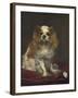 A King Charles Spaniel, 1866-Edouard Manet-Framed Art Print