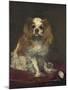 A King Charles Spaniel, 1866-Edouard Manet-Mounted Art Print