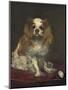 A King Charles Spaniel, c.1866-Edouard Manet-Mounted Giclee Print