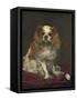 A King Charles Spaniel, c.1866-Edouard Manet-Framed Stretched Canvas