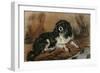 A King Charles Spaniel-Edwin Henry Landseer-Framed Giclee Print