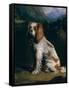 A King Charles Spaniel-Philip Reinagle-Framed Stretched Canvas