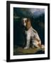 A King Charles Spaniel-Philip Reinagle-Framed Giclee Print