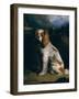 A King Charles Spaniel-Philip Reinagle-Framed Giclee Print