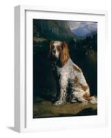 A King Charles Spaniel-Philip Reinagle-Framed Giclee Print