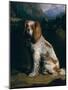 A King Charles Spaniel-Philip Reinagle-Mounted Giclee Print