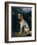 A King Charles Spaniel-Philip Reinagle-Framed Giclee Print