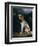 A King Charles Spaniel-Philip Reinagle-Framed Giclee Print