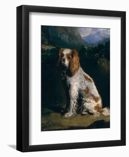 A King Charles Spaniel-Philip Reinagle-Framed Giclee Print