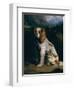 A King Charles Spaniel-Philip Reinagle-Framed Giclee Print