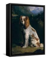 A King Charles Spaniel-Philip Reinagle-Framed Stretched Canvas