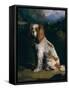 A King Charles Spaniel-Philip Reinagle-Framed Stretched Canvas