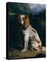 A King Charles Spaniel-Philip Reinagle-Stretched Canvas