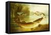 A Kingfisher and a Pike Capturing Perch-Henry Leonides Rolfe-Framed Stretched Canvas