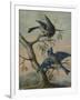 A Kingfisher on a Sapling; and a Blue Tit with a Finch on a Sapling-Christoph Ludwig Agricola-Framed Giclee Print