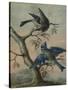 A Kingfisher on a Sapling; and a Blue Tit with a Finch on a Sapling-Christoph Ludwig Agricola-Stretched Canvas