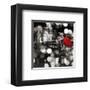 A Kiss in the Night (BW detail)-Dianne Loumer-Framed Giclee Print