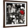 A Kiss in the Night (BW detail)-Dianne Loumer-Framed Giclee Print