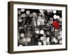 A Kiss in the Night (BW)-Dianne Loumer-Framed Giclee Print