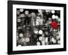 A Kiss in the Night (BW)-Dianne Loumer-Framed Giclee Print